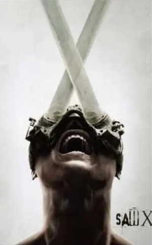 t1 - copia (10).webp